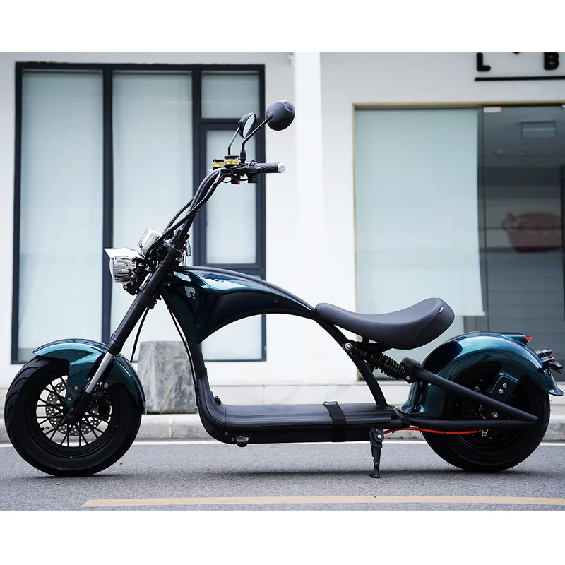 X13 Mangosteen M1P CityCoco E-chopper