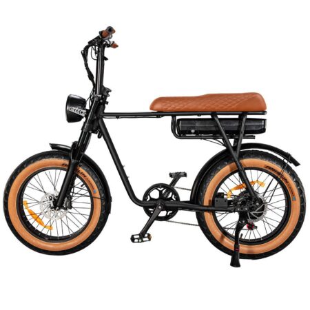EB2 E-bike