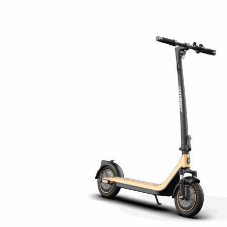 CURTIS DUAL Elektrische step