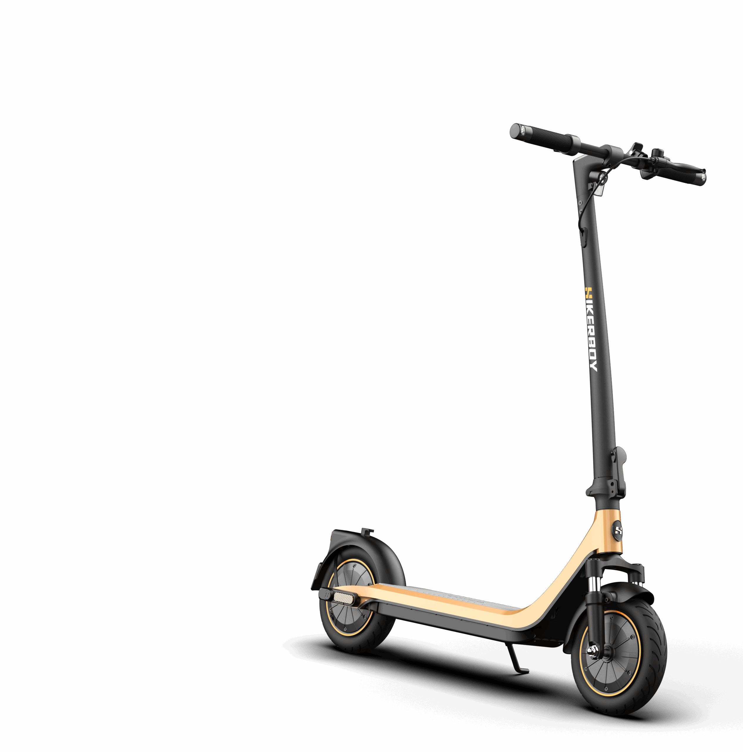 CURTIS DUAL Elektrische step