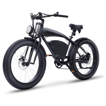 Beach Cruiser Fatbike Mega Sale