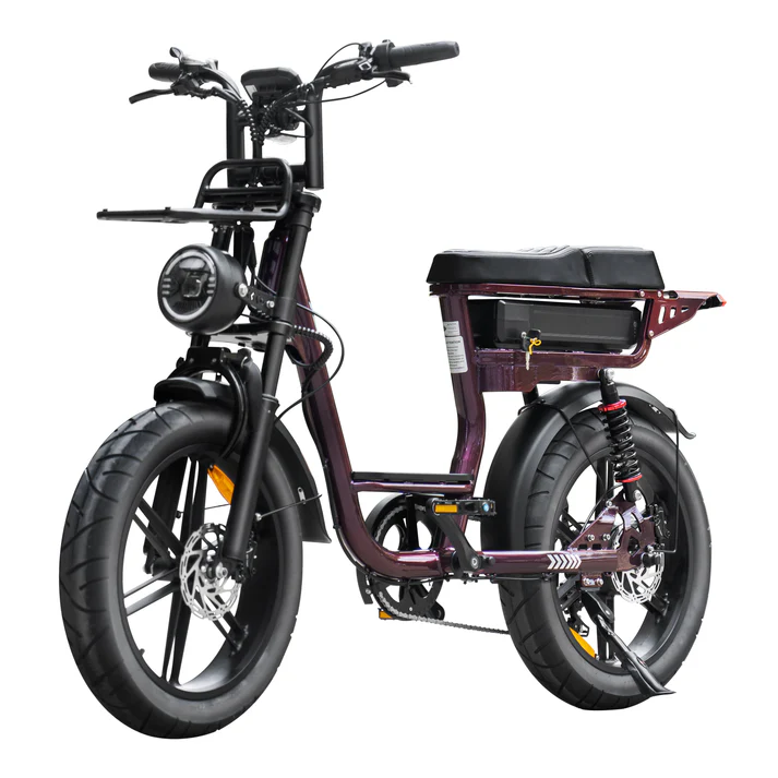 V20 Comfort 2026 edition dames fatbike nu inclusief gratis achterzitje en wielslot! - Afbeelding 17