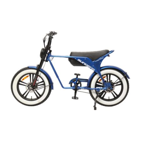 E times Tourist Ebike met gratis voetsteuntjes